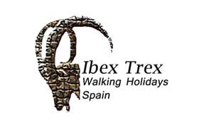 Ibex Trex
